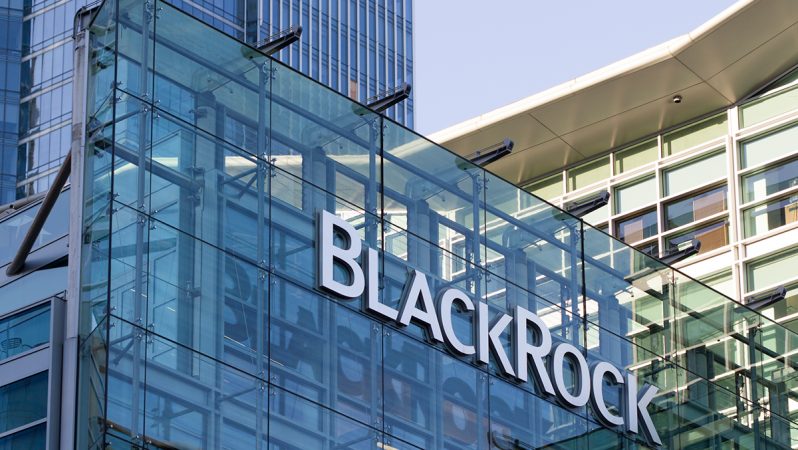 BlackRock CEO’su: Kripto Paralara Talep Azalıyor