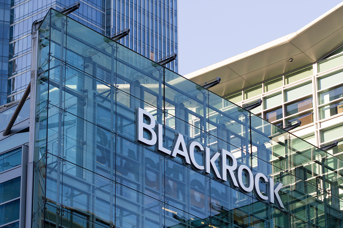 BlackRock CEO’su: Kripto Paralara Talep Azalıyor