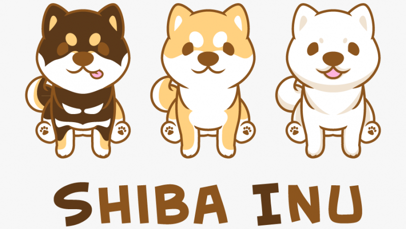Shiba Inu (SHIB) ve Dogecoin (DOGE) Trendi nereye kadar?