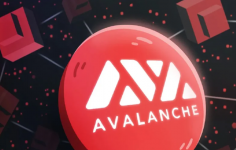 Avalanche ağı, ‘Avalanche Multiverse’ teşvik programını başlatıyor