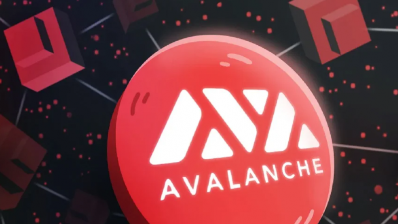 Avalanche ağı, ‘Avalanche Multiverse’ teşvik programını başlatıyor