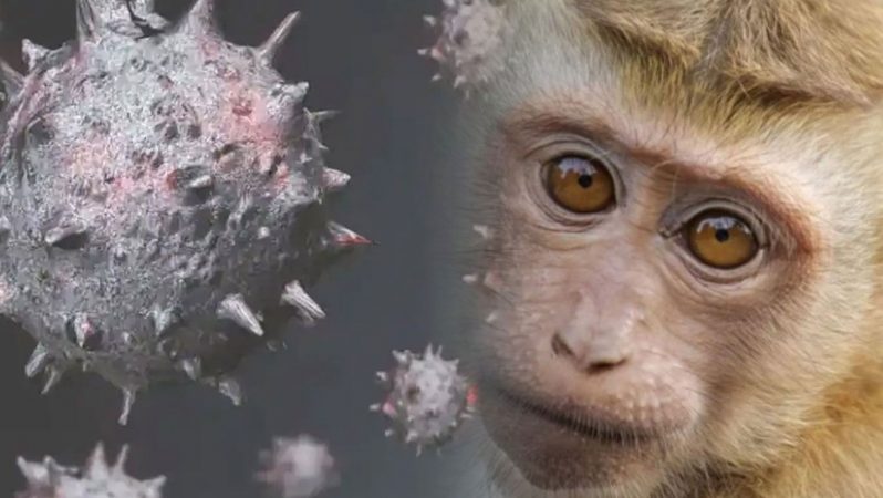 Maymun Çiçeği Virüsünün Kripto Para Piyasalarına Olası Etkileri